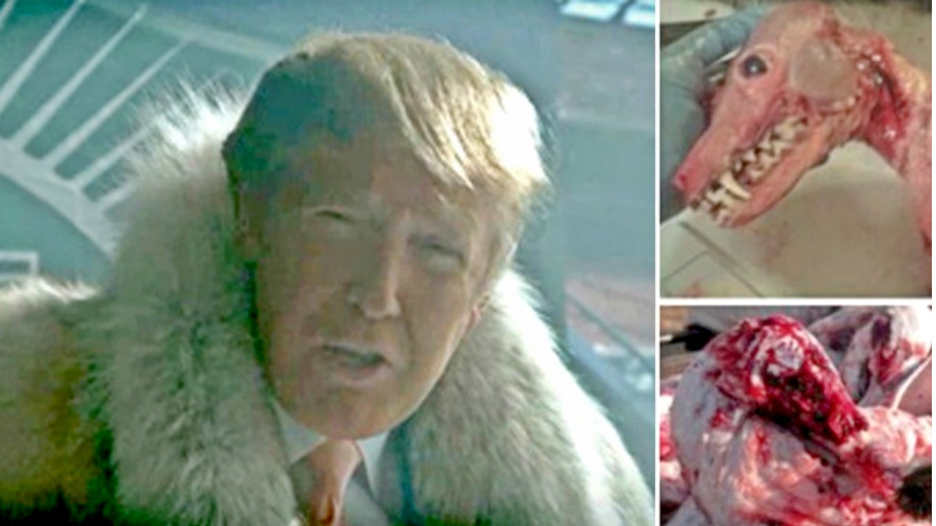 Countless animals died in pain for this coat! Ask President Donald Trump to stop wearing fur!