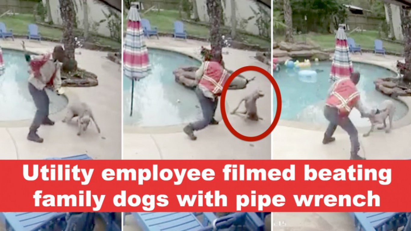 Fire & charge gas utility contractor that beat family dogs with pipe wrench!