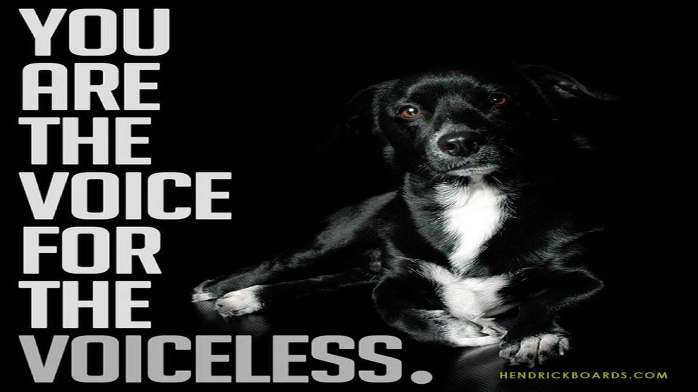 For the New Introduction 5 years( for Various degrees of Animal Cruelty  Cases)To Be increased by 10-15 years in Legal Justice System making this Law  .