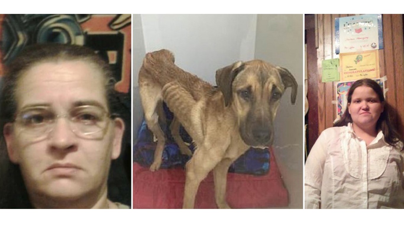 Justice for dog left to starve for weeks by two cruel women!