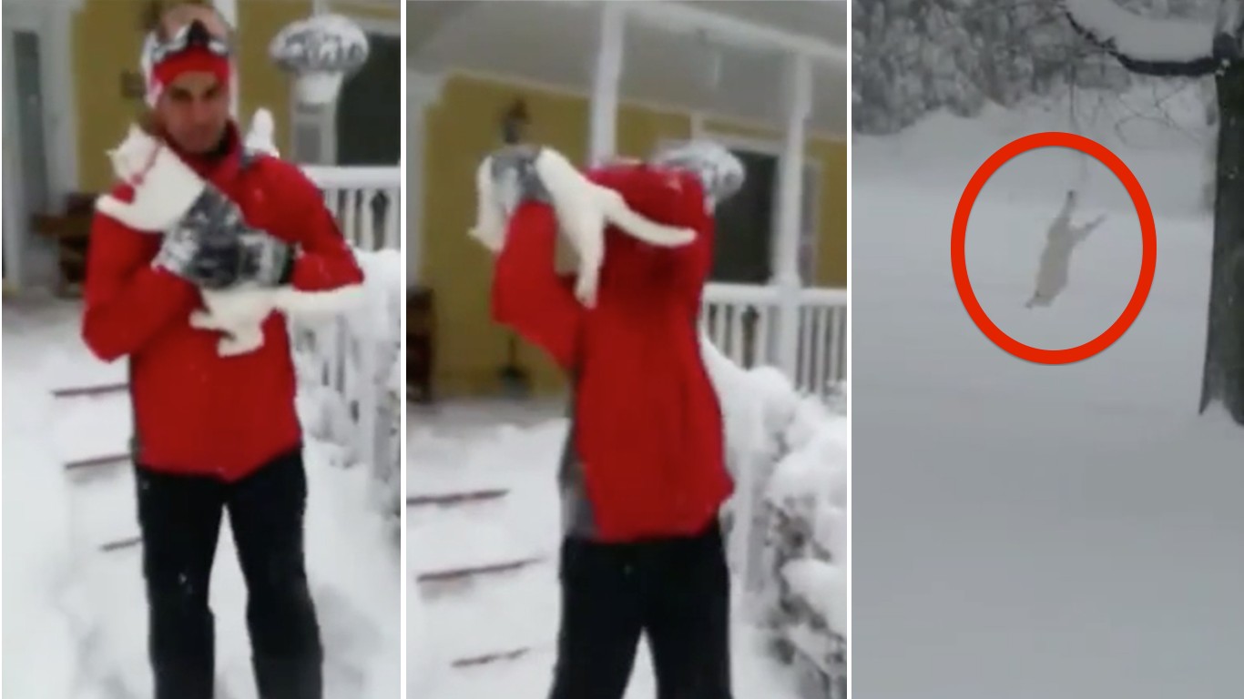 Punish jerk that tossed cat into blizzard twice and laughed!