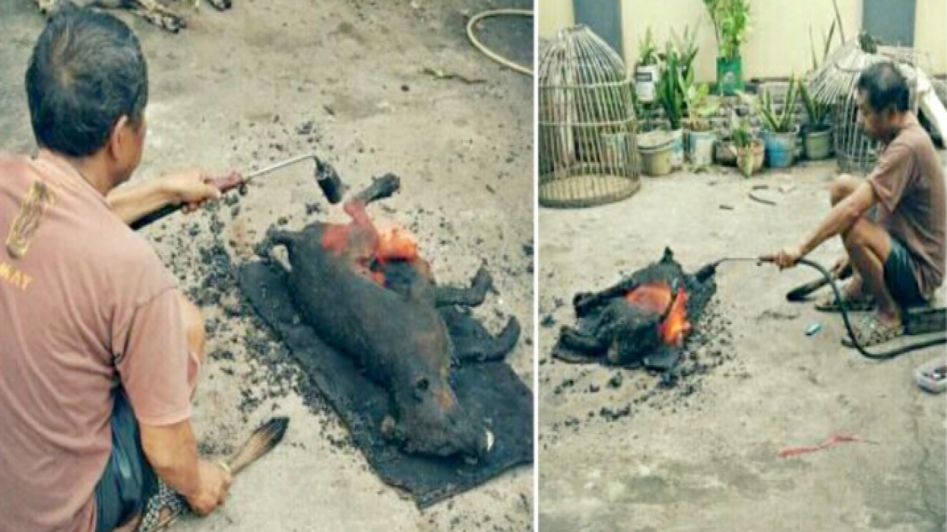 Punish man that cooks dogs alive and posts photos online!