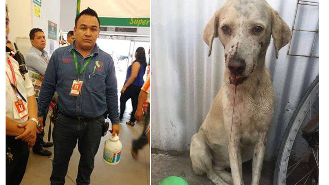 Justice For Butter: Punish shop employee that kicked gentle dog repeatedly for being on store ground!