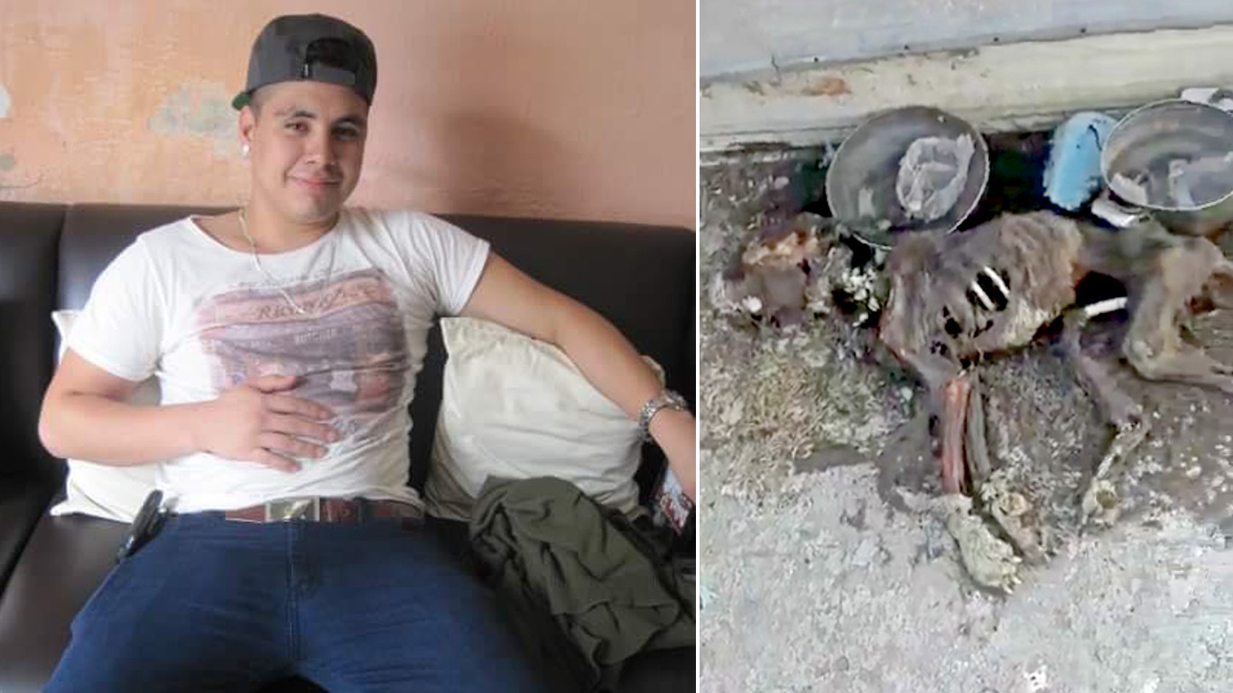 Punish monster that left his dog to die without food and water for weeks!