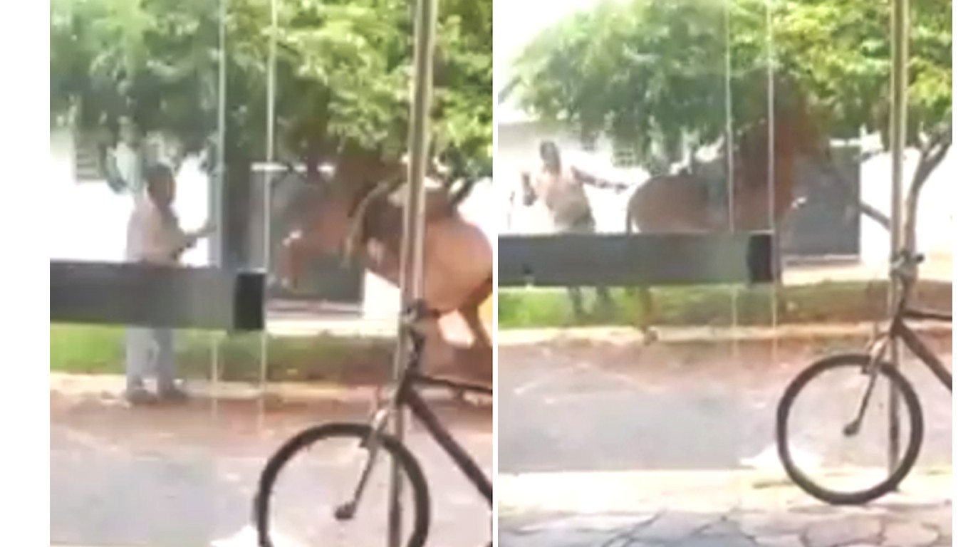 Prosecute man that hit horse with a whip repeatedly in broad daylight!