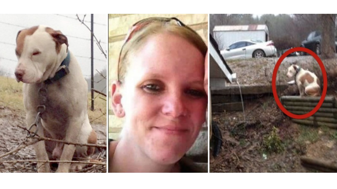 Punish woman that abused her pet dog for years!