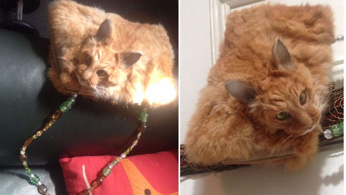 Prevent website from auctioning handbag made from dead cat!