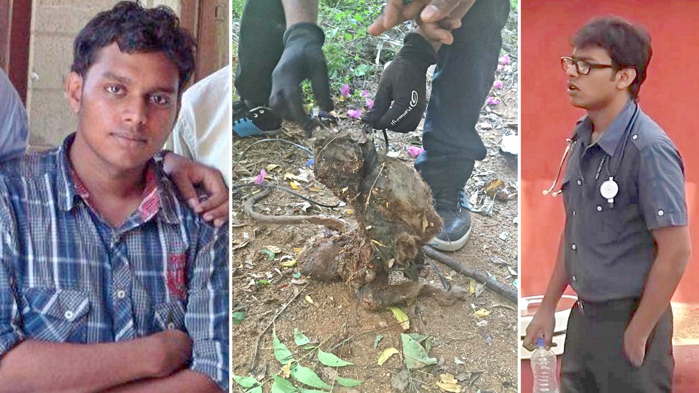 India: Punish medical students who beat up monkey and buried it for fun!