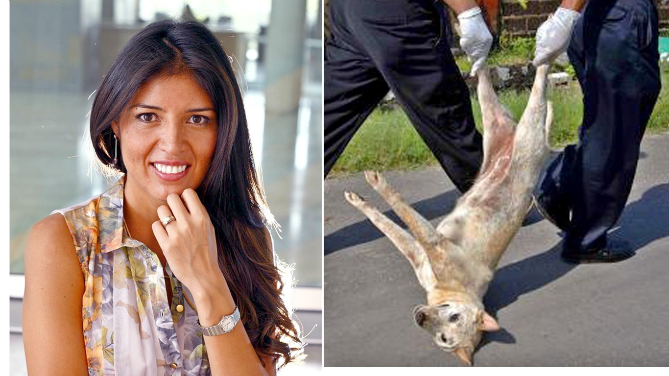 Stop cruel mayor from euthanizing stray dogs because she thinks they are useless!