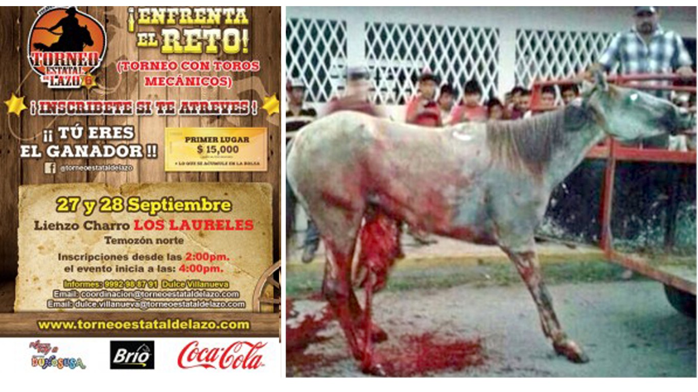 Ask Coca-Cola to stop sponsoring festival where horses are cut open and left to die for entertainment!
