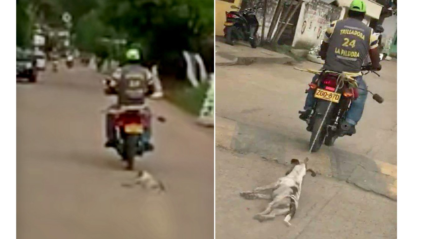 Justice for dog dragged behind motorbike for miles!