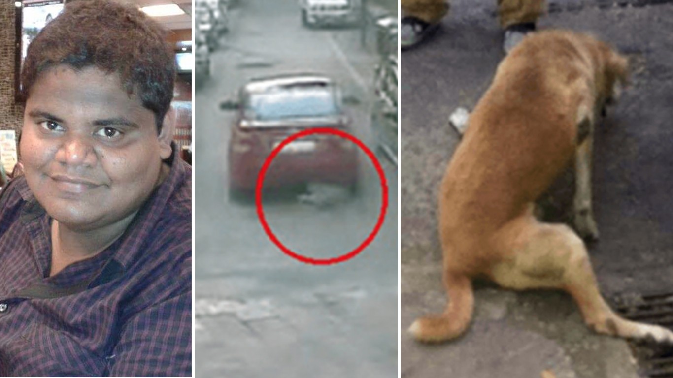 Prosecute man that run over stray dog as punishment for wetting on his car tyres!