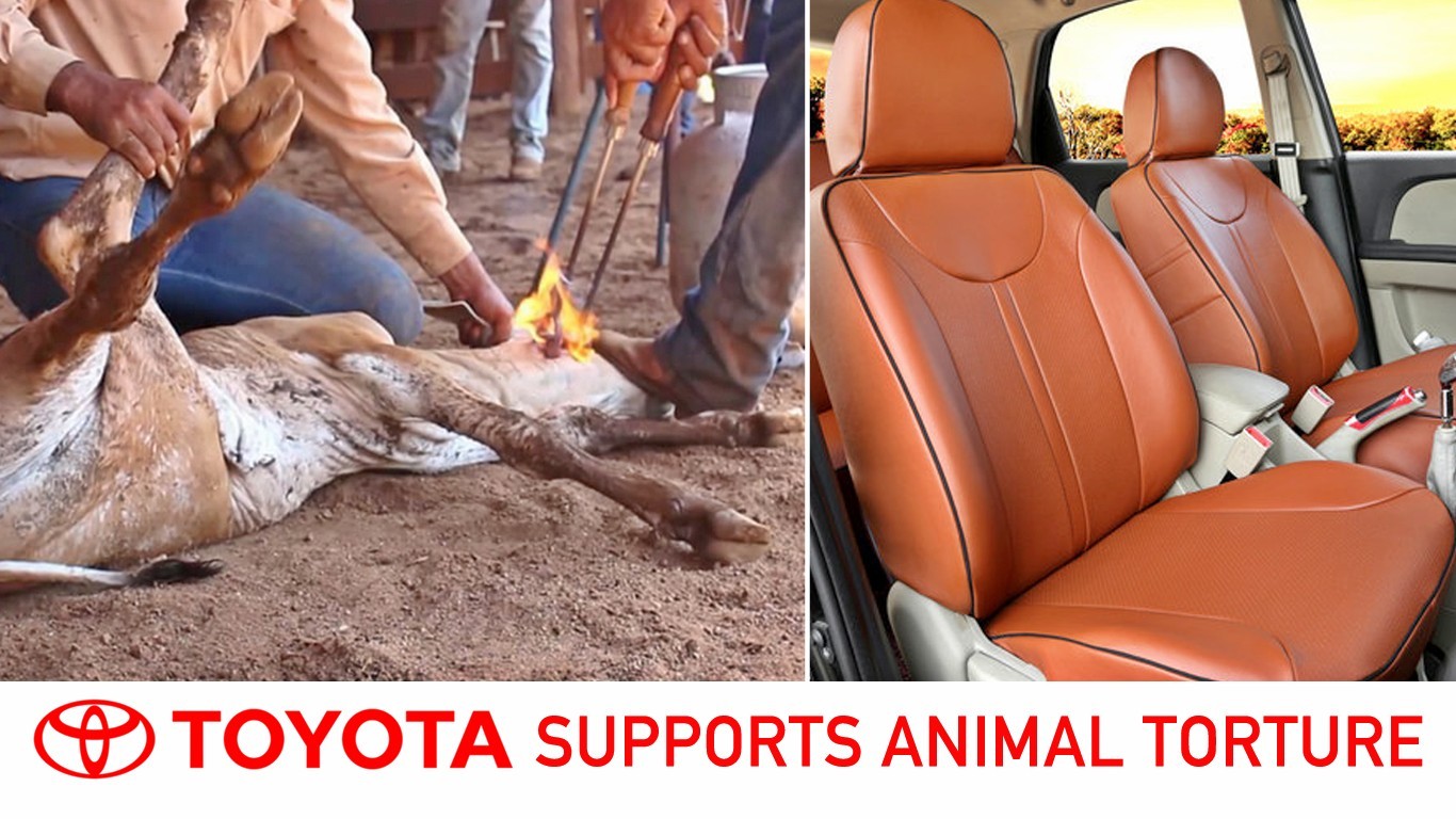 Ask Toyota to stop abusing cows to make leather car seats!