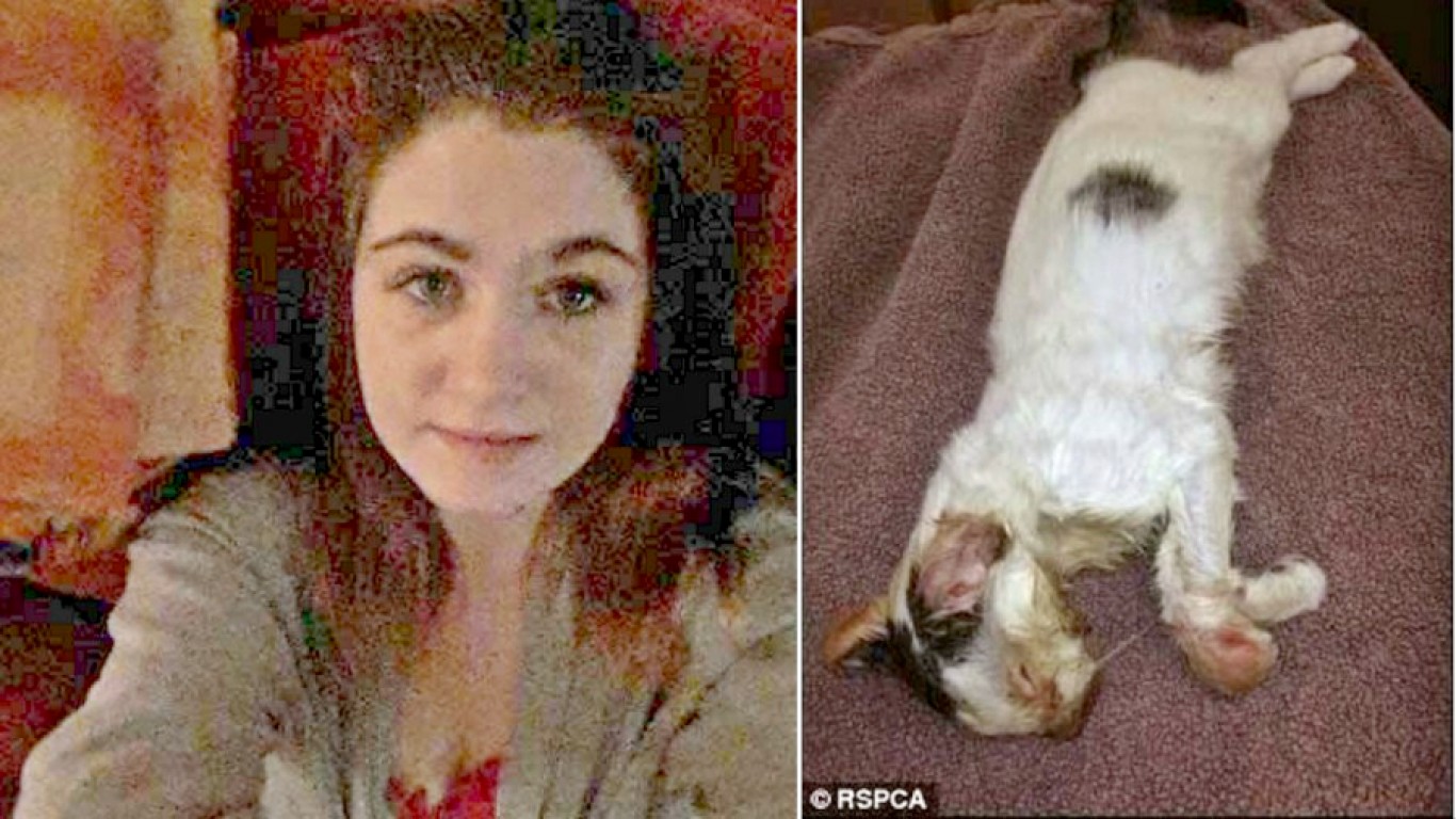 Pet cat baked to death in microwave gets no justice! We want tougher UK animal welfare laws!