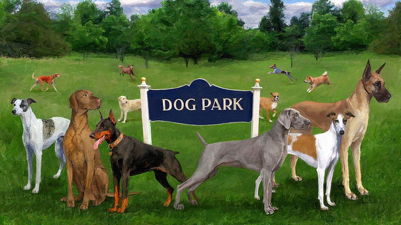 We demand a dog park in Cloverdale, California!