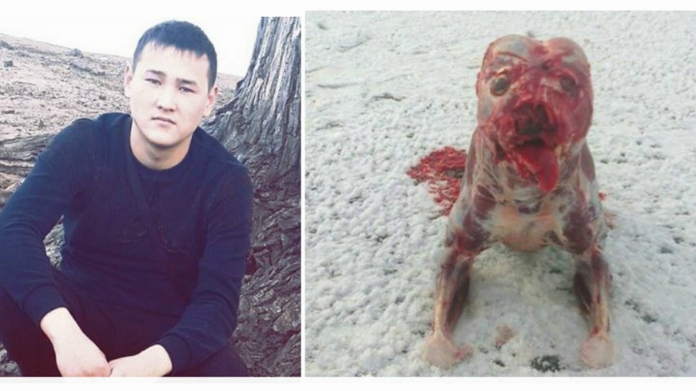 Punish man that skinned dog alive and published photo online!