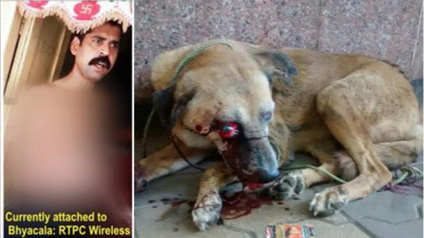 Fire cruel police officer that beat street dog until eye popped out!