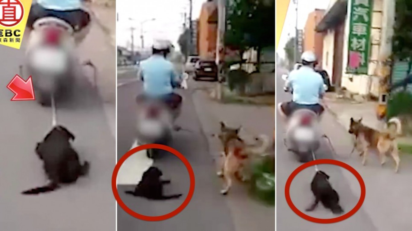 Justice for puppy dragged behind scooter for miles!