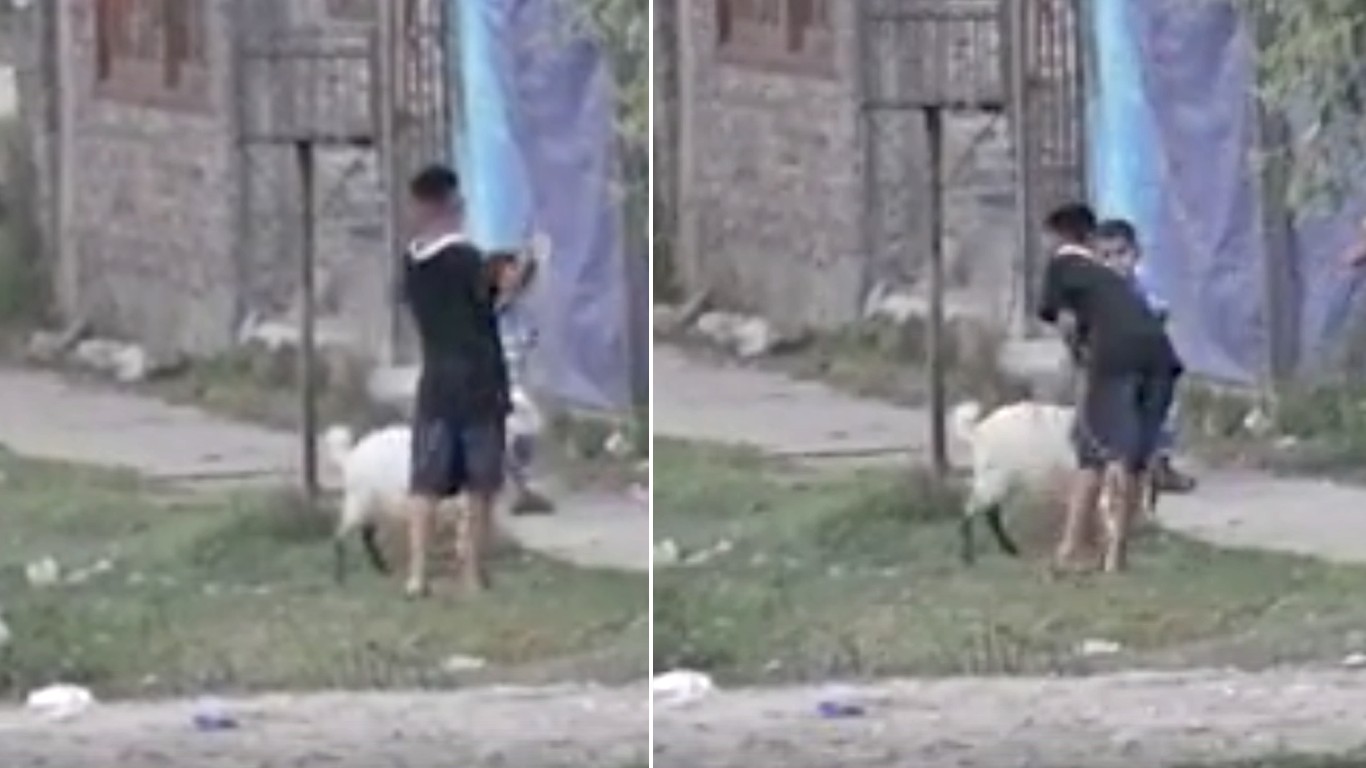 Punish cruel boy that hit dog with leash repeatedly!