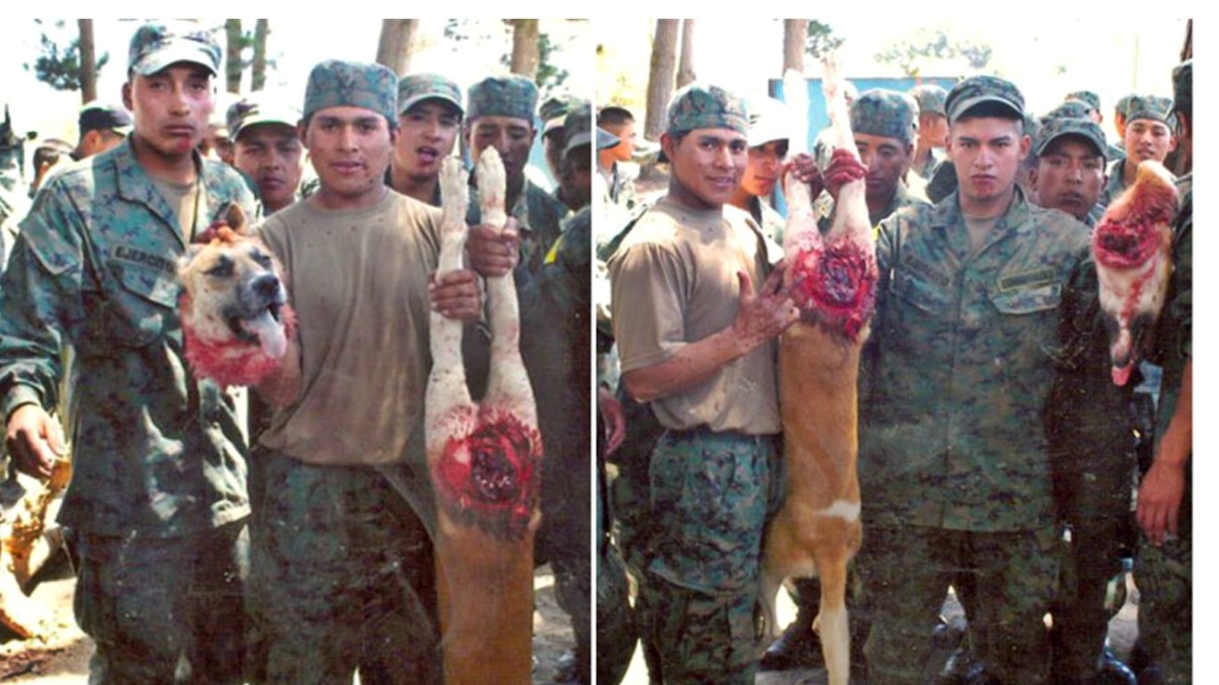 Punish soldiers that cut off dogâ€™s head off to prove their manhood and posed for photos!