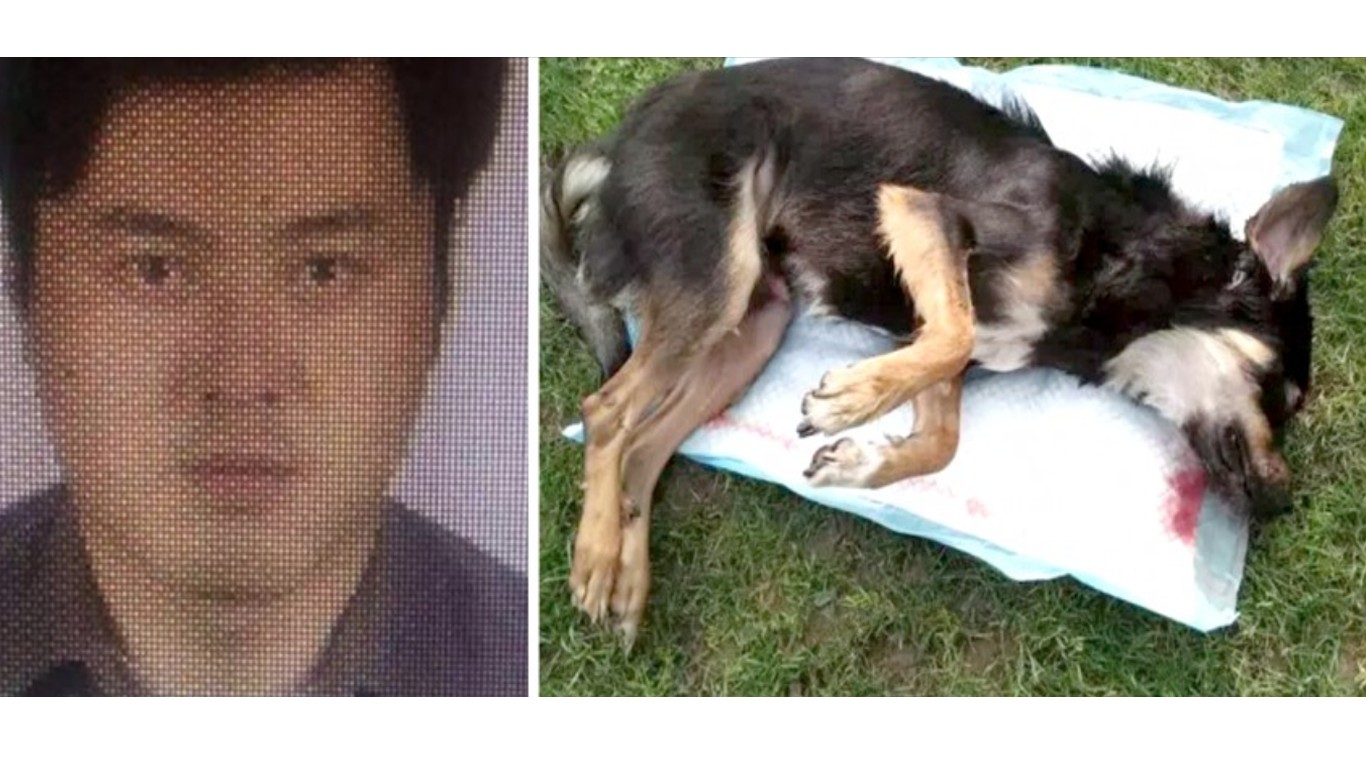 China: Fire security guard that bashed dog to death in public!