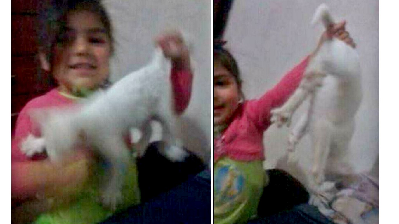 Punish mother that allowed daughter to abuse family kitten!