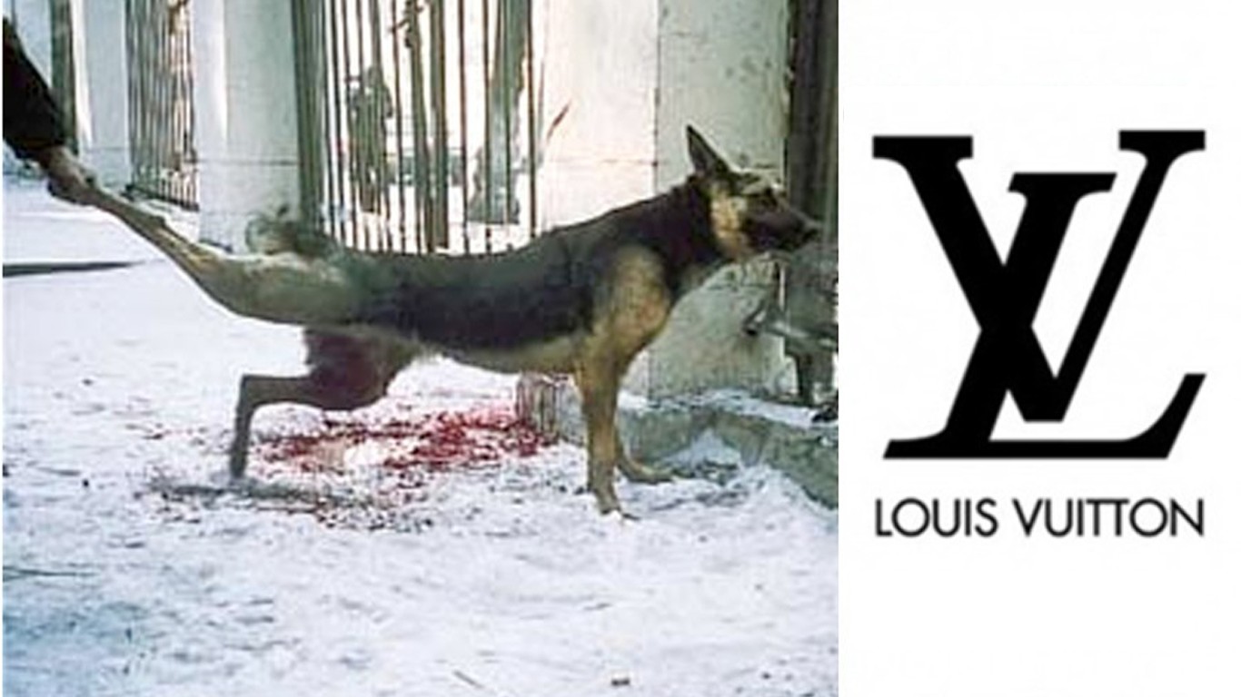 Tell Louis Vuitton to stop skinning dogs alive for luxury clothing!