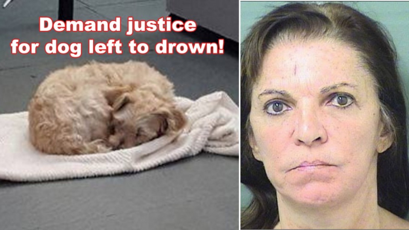 We demand jail time for woman that tied dog up and threw it in river!