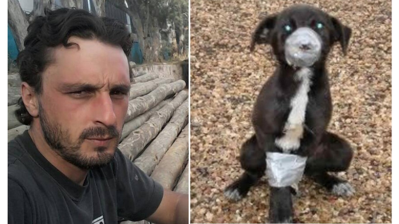 Investigate man that buys puppies and uses them as bait for fights to make a living!