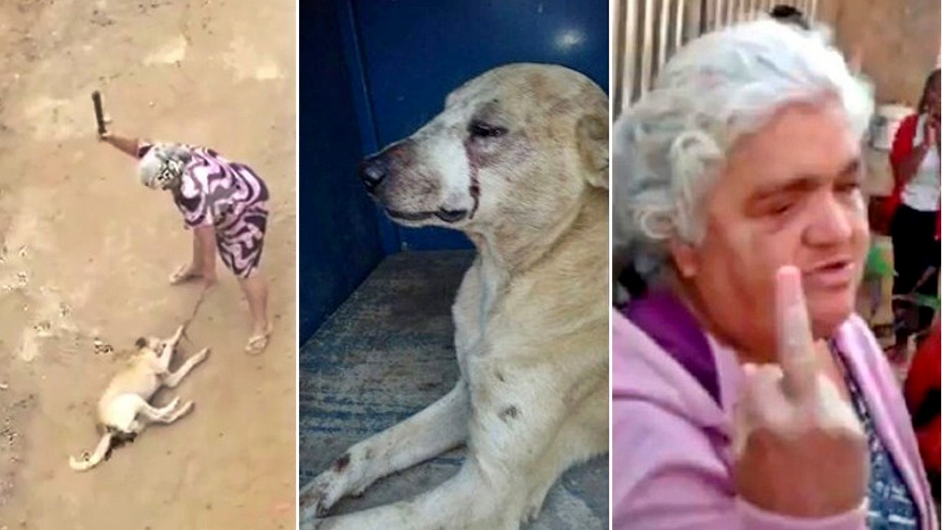 Punish cruel woman that repeatedly beat her dog with a bat!