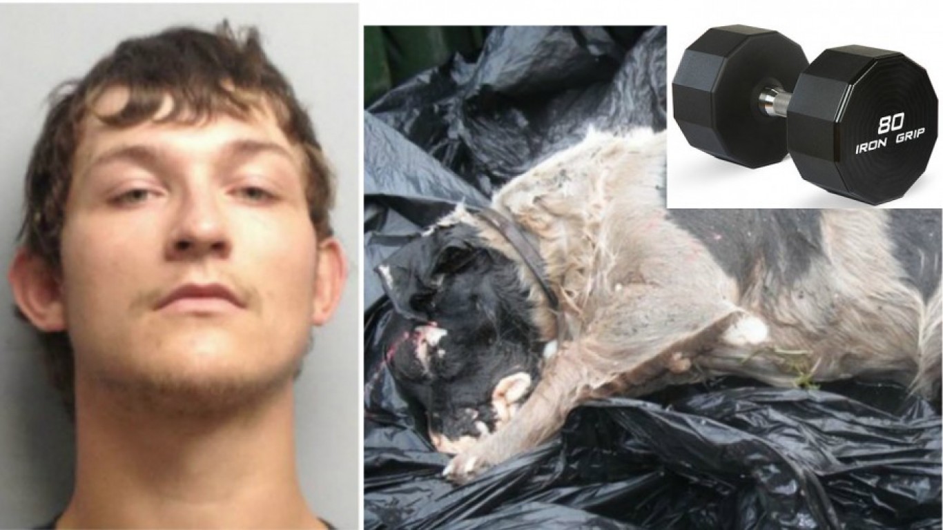 Support full prosecution for thug that beat dog with dumbbell!