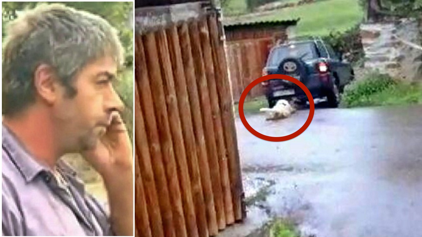 Demand jail time for owner that dragged dog behind SUV!