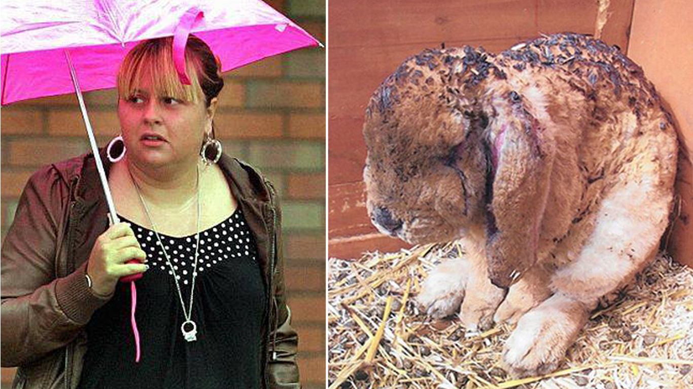 British woman who set defenseless rabbit on fire receives lenient sentence! Take Action Now!