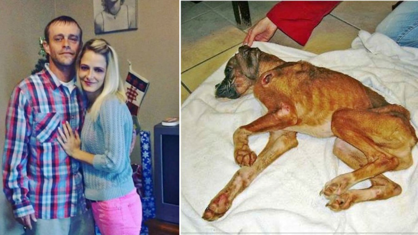 Dog starved so badly he was forced to eat rocks to survive. Demand Justice For Dre