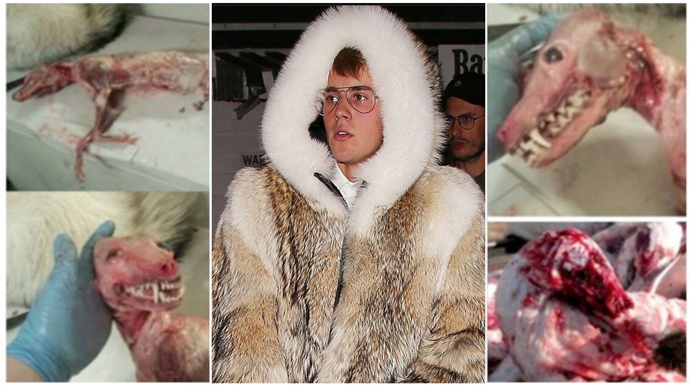 Boycott Justin Bieber for wearing gigantic coat made from real fur and bragging about it!