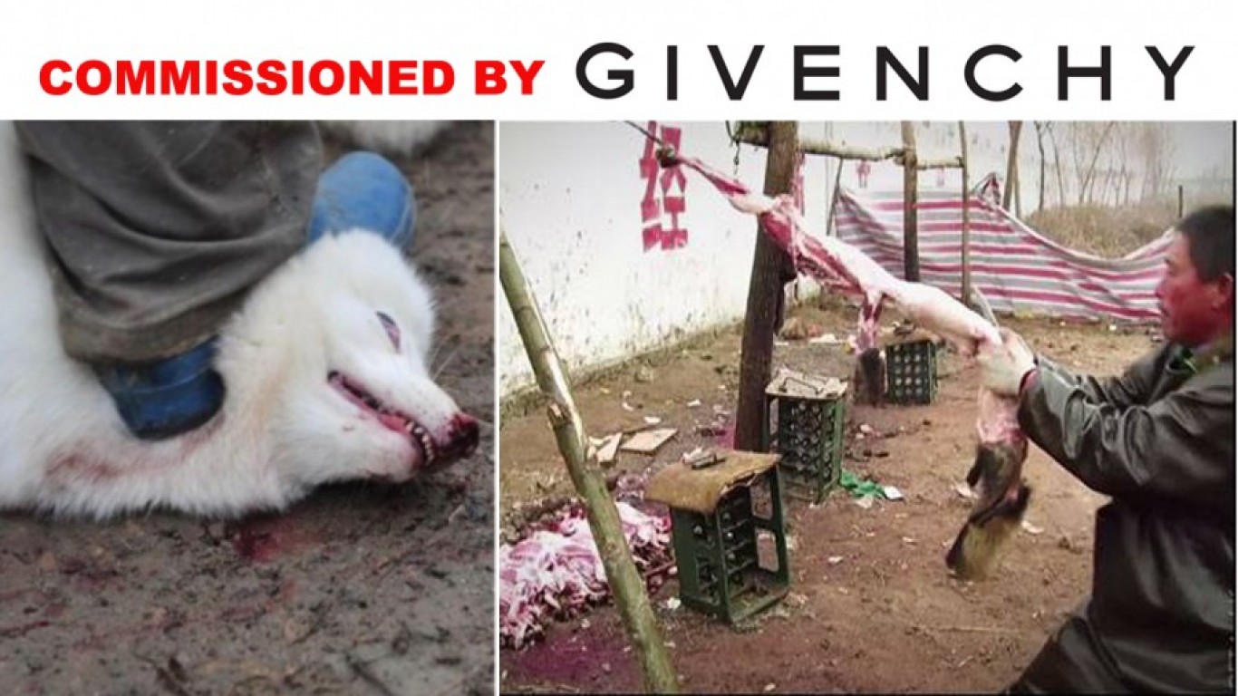 Stop Givenchy from skinning millions of animals in the name of fashion!