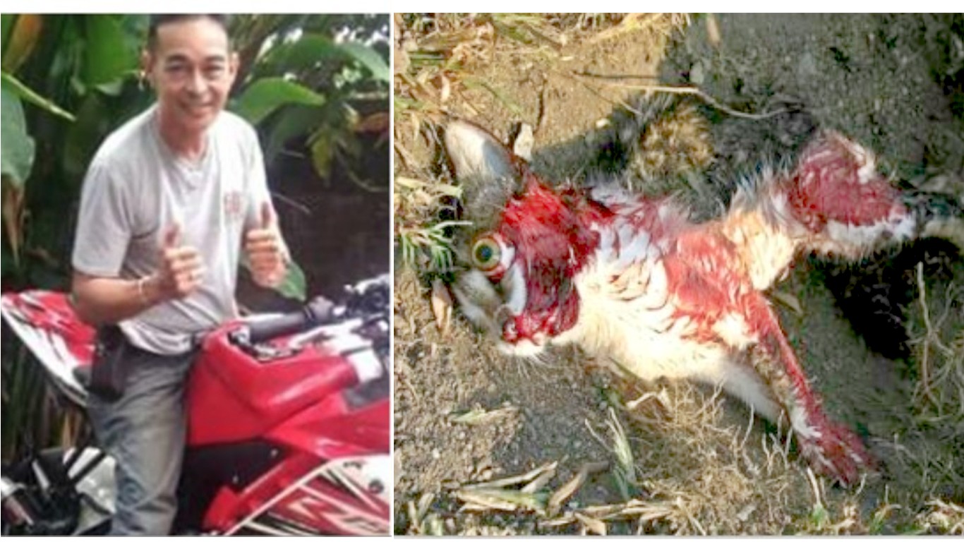 Prosecute cruel biker that ripped dozens of cats apart for pleasure!