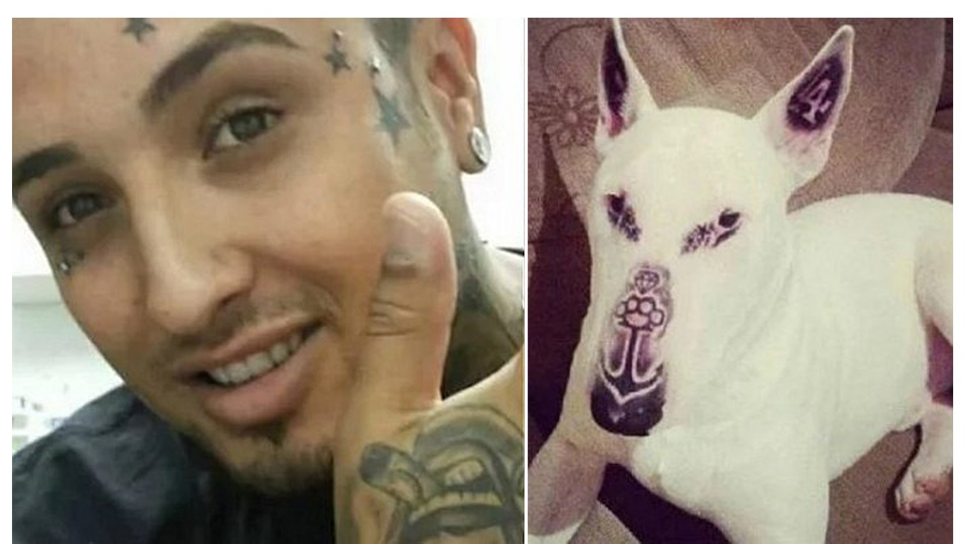 Prosecute â€˜artistâ€™ that tattooed his pet dog and boasted about it on social media!