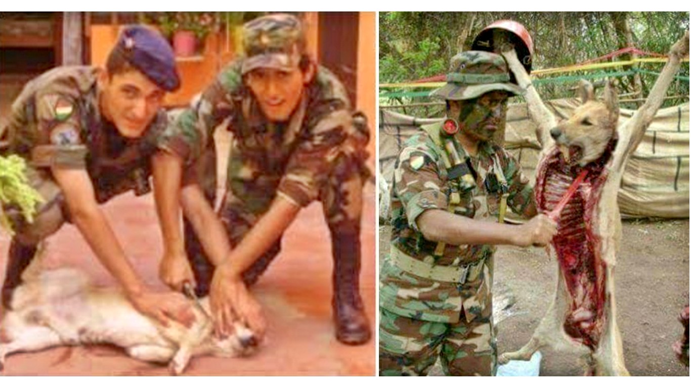 Terminate soldiers that cut open dog with knife and laughed about it!