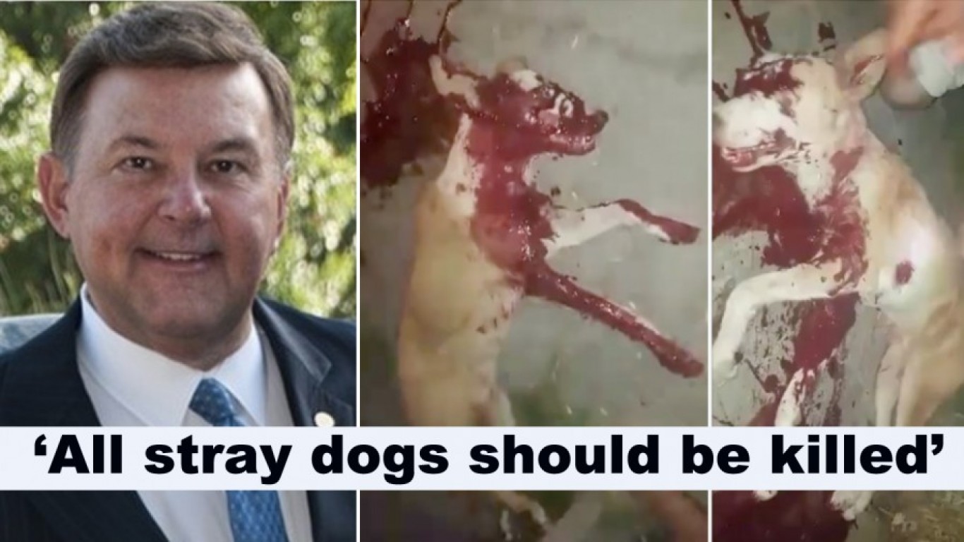 Boycott Dallas councilor who believes all stray dogs should be shot!