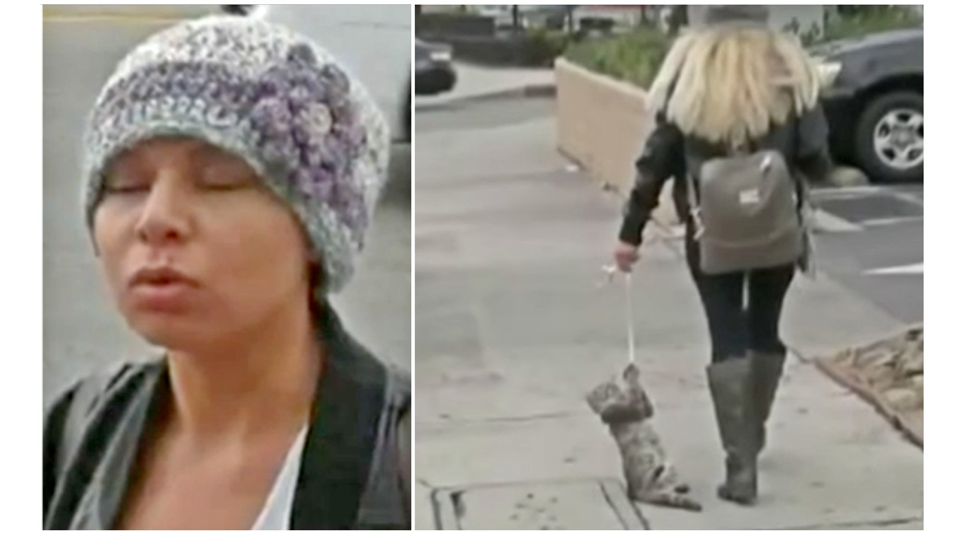 Prosecute cruel woman that dragged cat by leash in broad daylight!