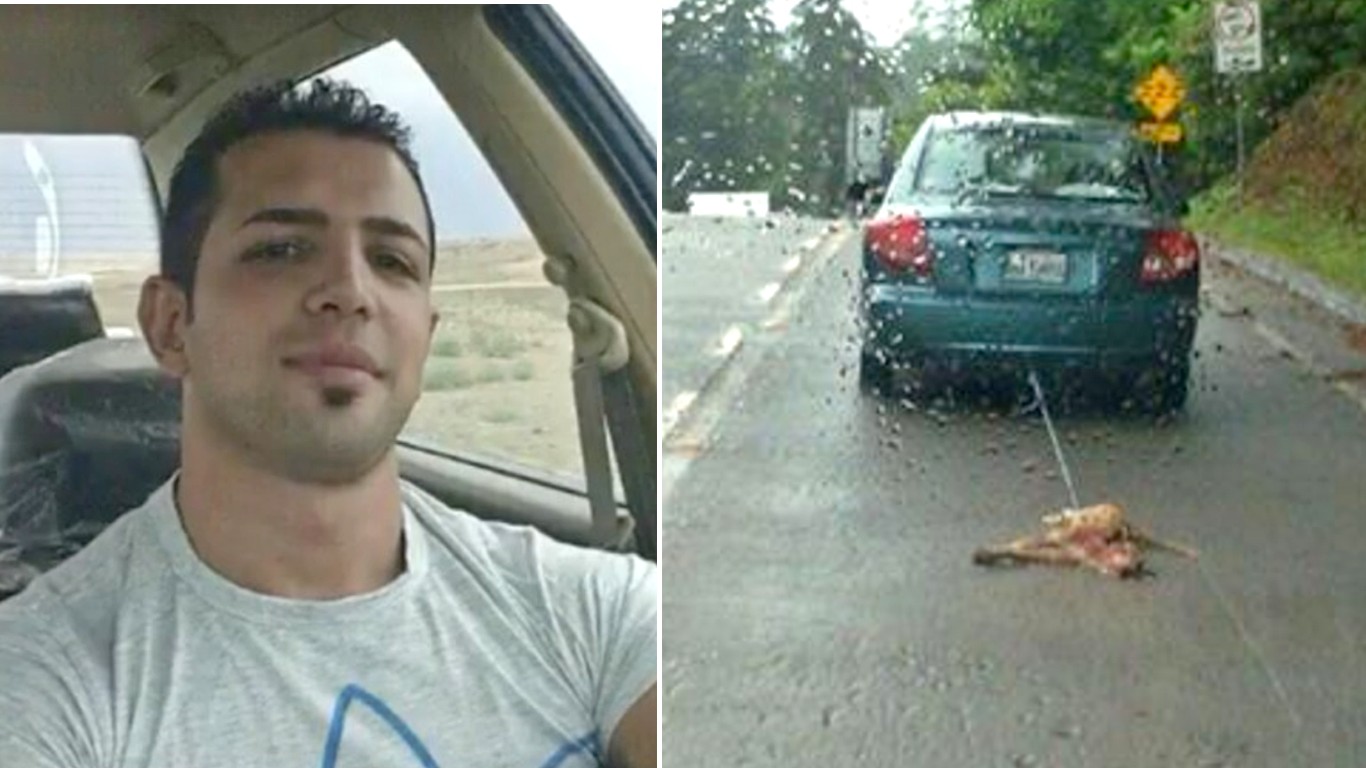 Justice for dog dragged behind car for miles by cruel man!