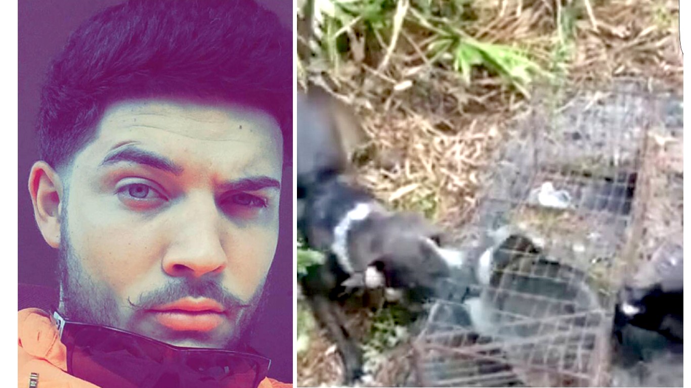 Punish cruel man that fed raccoon to his dog and posted photos online!