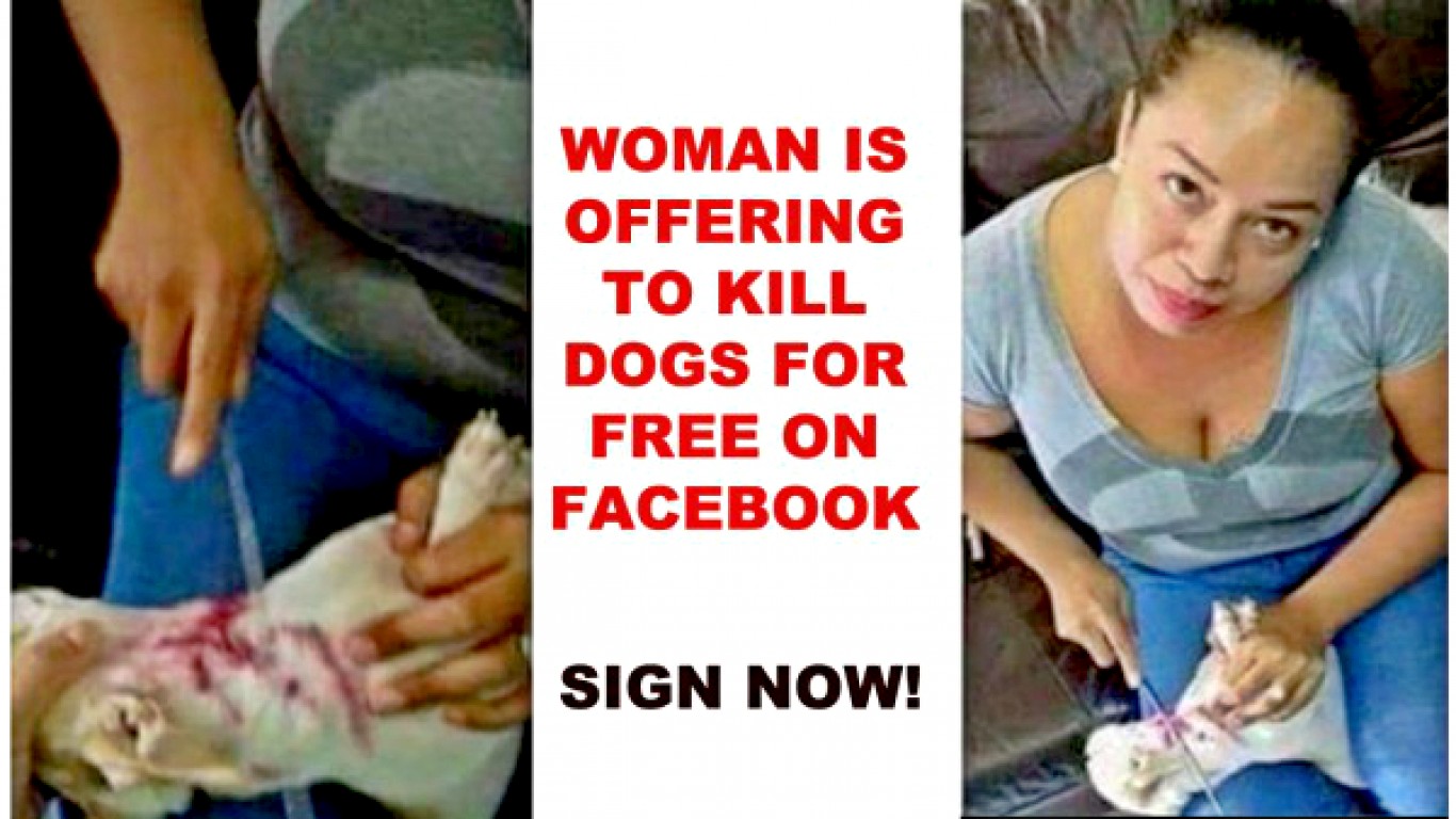 Punish woman that is offering to slice up dogs in half for free on Facebook!