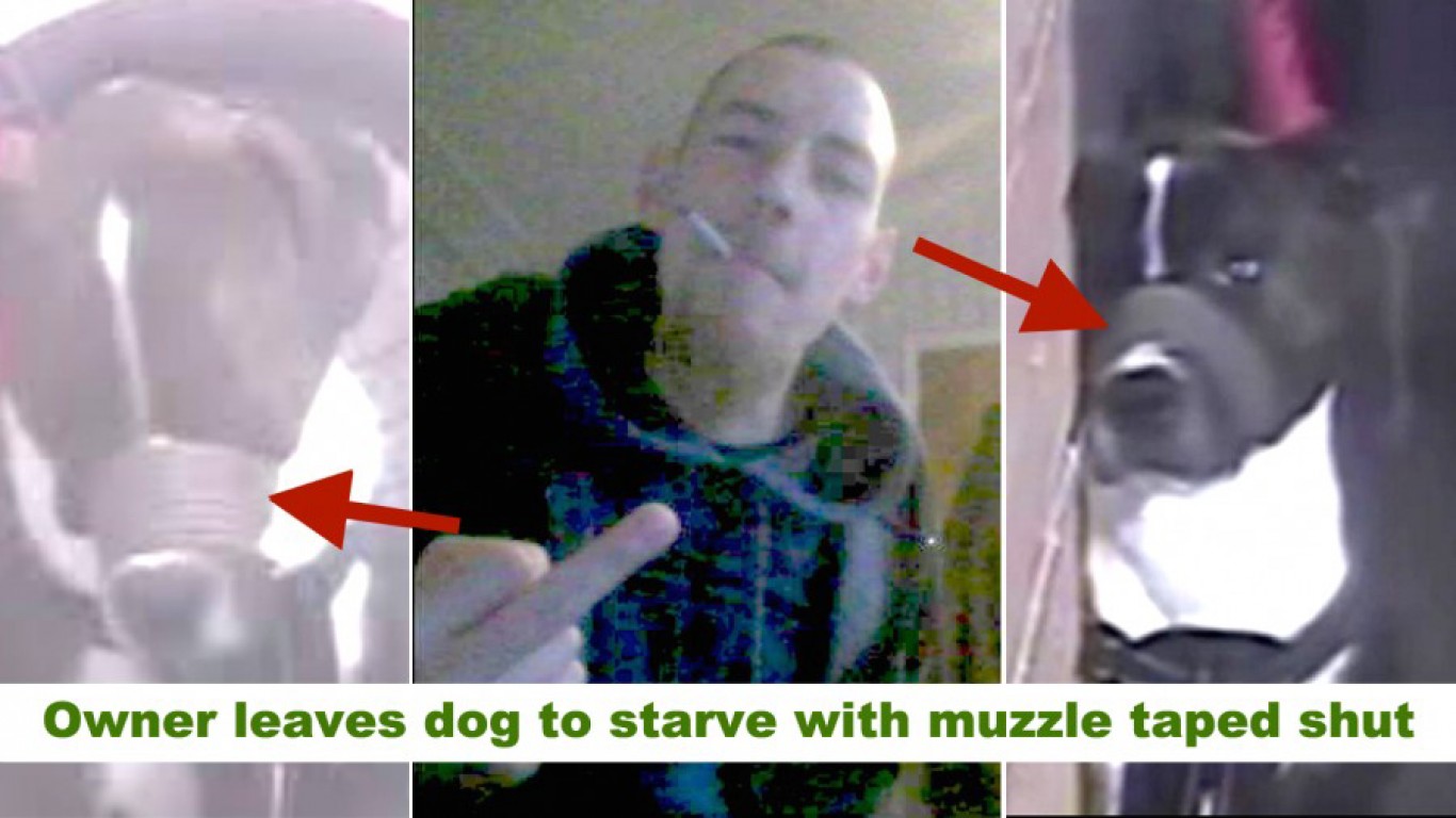 Demand jail time for owner that left pet dog to starve for days with muzzle taped shut!