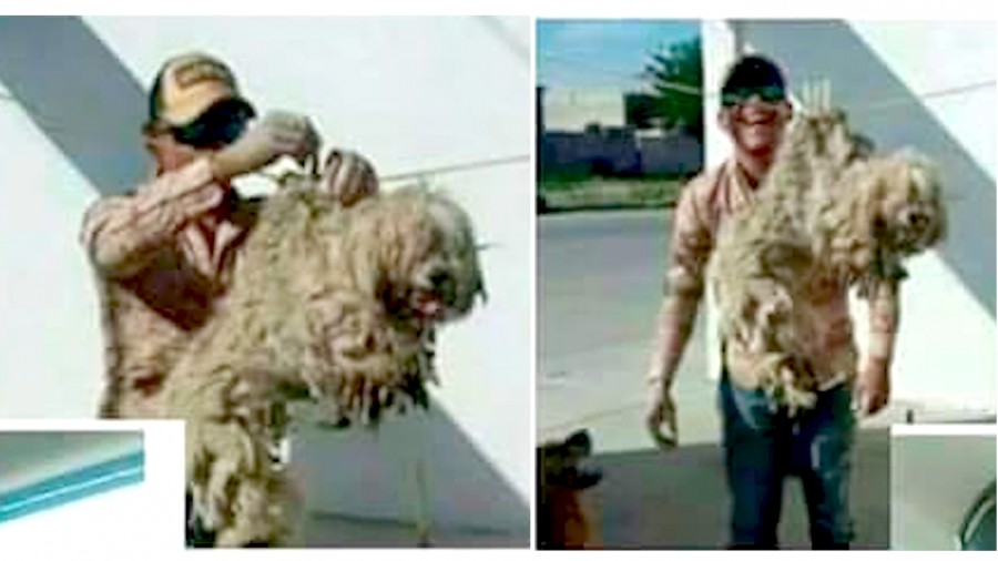 Terminate police officer that hung dog on washing line and smiled for photo!