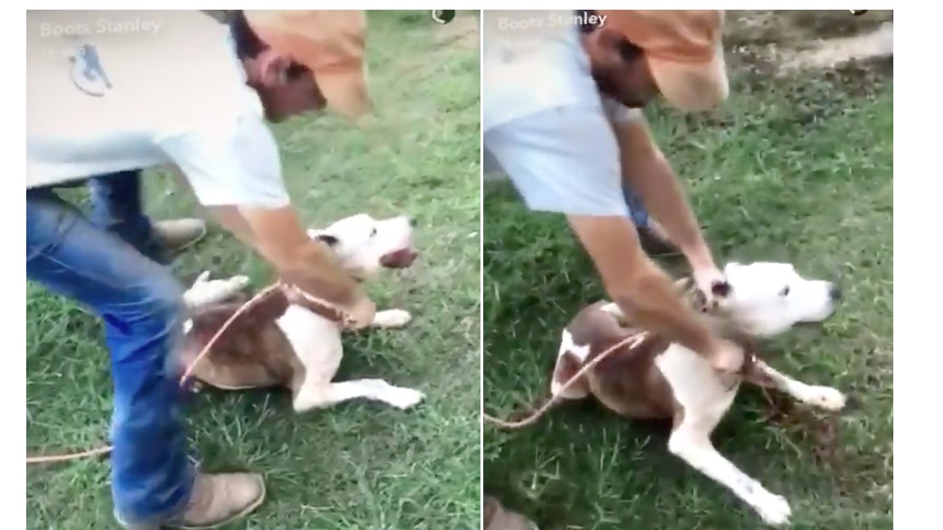 Support maximum penalty for men that cut dogâ€™s throat open with knife and filmed the scene!