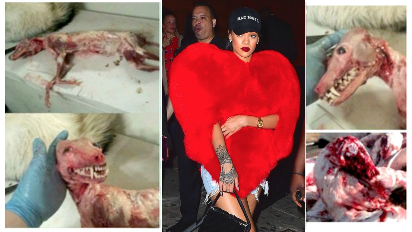 Dozens of animals died in pain for Rihanna's $15, 000 gigantic heart-shaped fur coat!