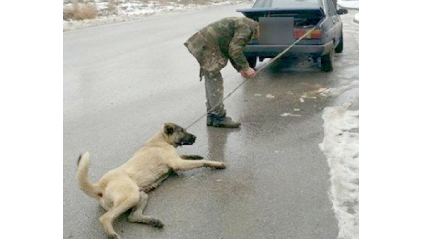 Owner drags dog behind car for miles, claims he can do anything he wants because he owns the pet!