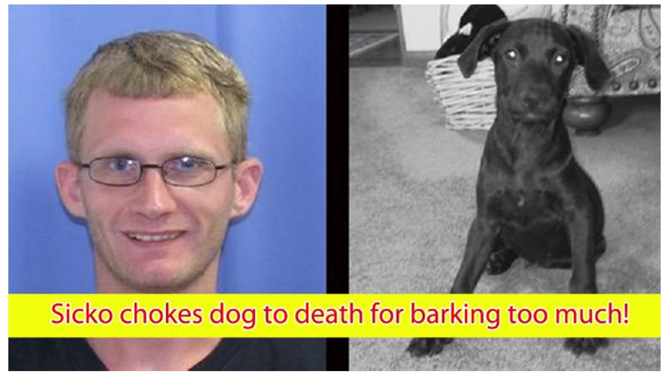 Punish sicko that chocked dog for barking too much!